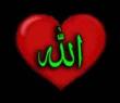 سرّسودا