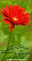 کـشکـول