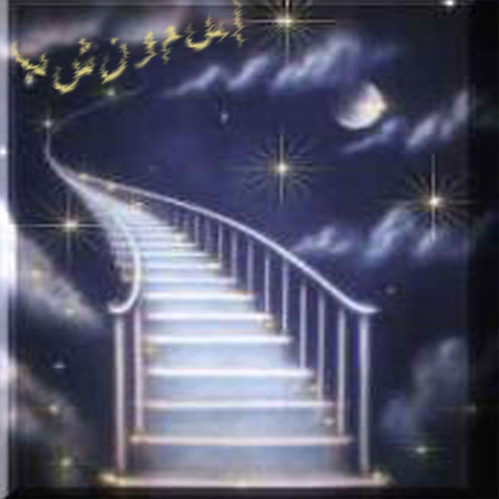 گلی سرخ برای محبوبم - *~~~*****آسمون شب*****~~~*