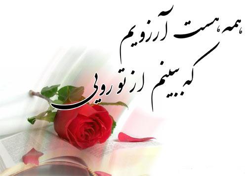 السلام علیک یا اباصالح المهدی
