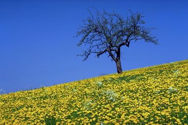 در شهر شعر