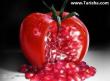 مهندسی تولیدات گیاهی