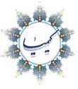من سرگشته هم از اهل سلامت بودم / دام راهم شکن طره هندوی تو بود