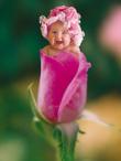 زهرا