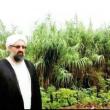 یوسف ذوالفقاری آهنگ