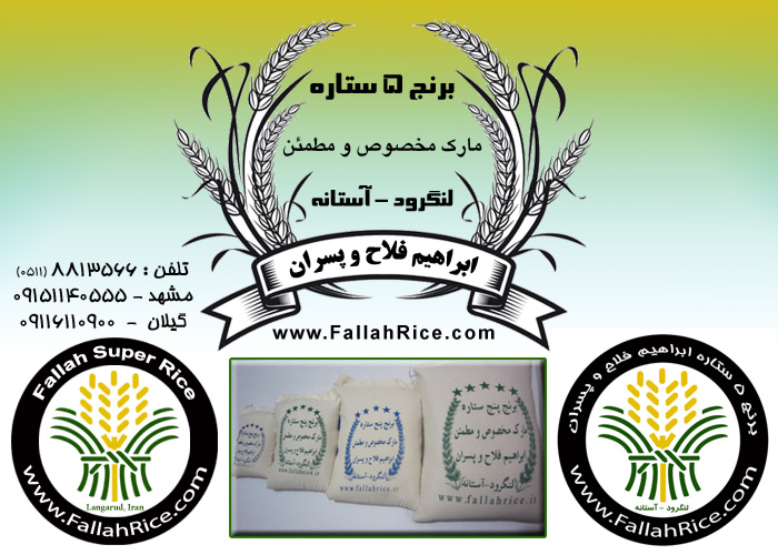 برنج 5ستاره ابراهیم فلاح وپسران